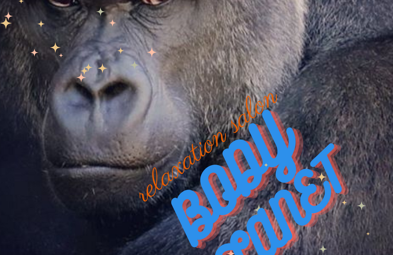 インスタグラムもやってます！　福島県いわき市のリラクゼーションならBODY PLANET